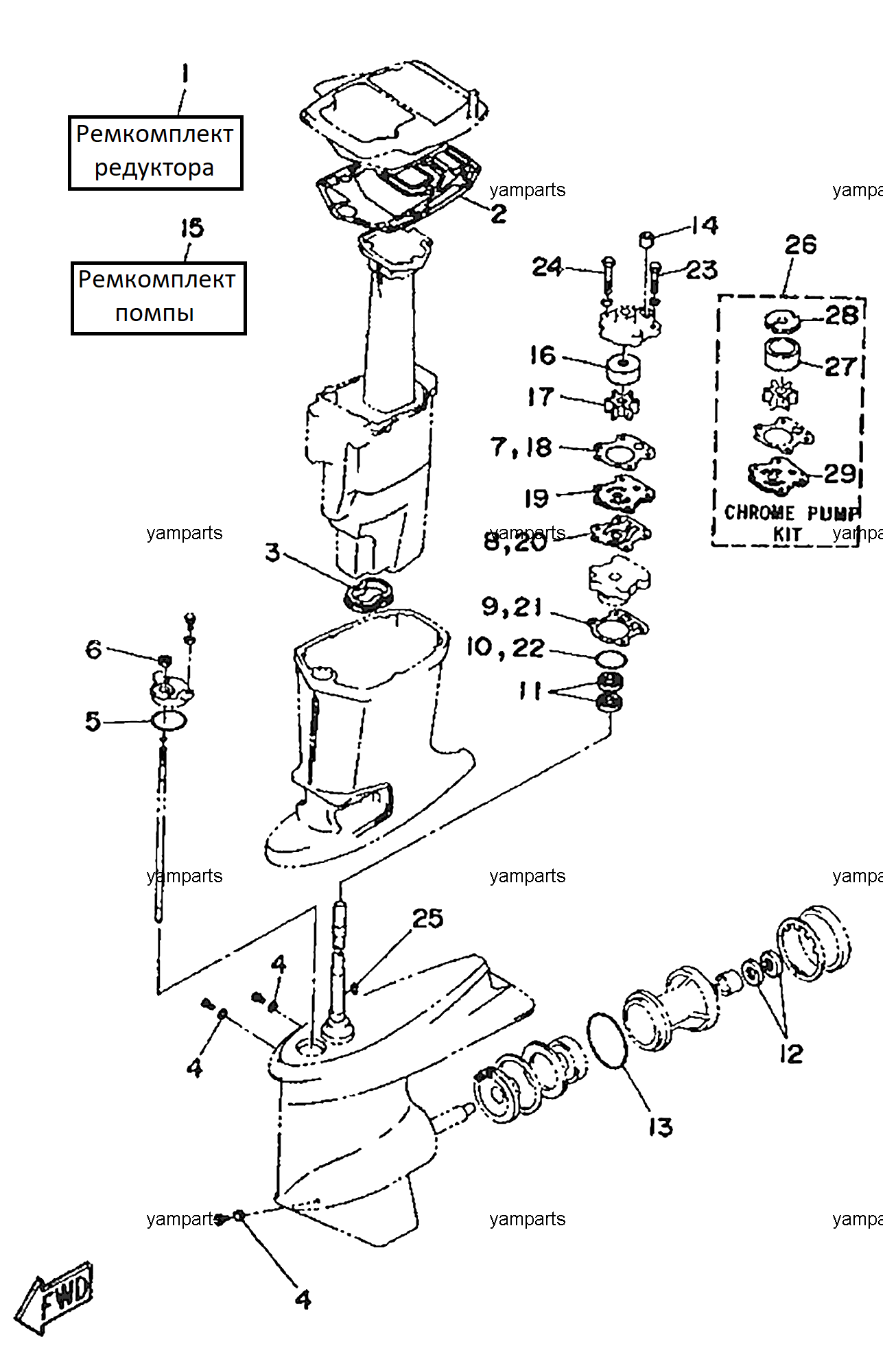 Yamaha 30 схема редуктора