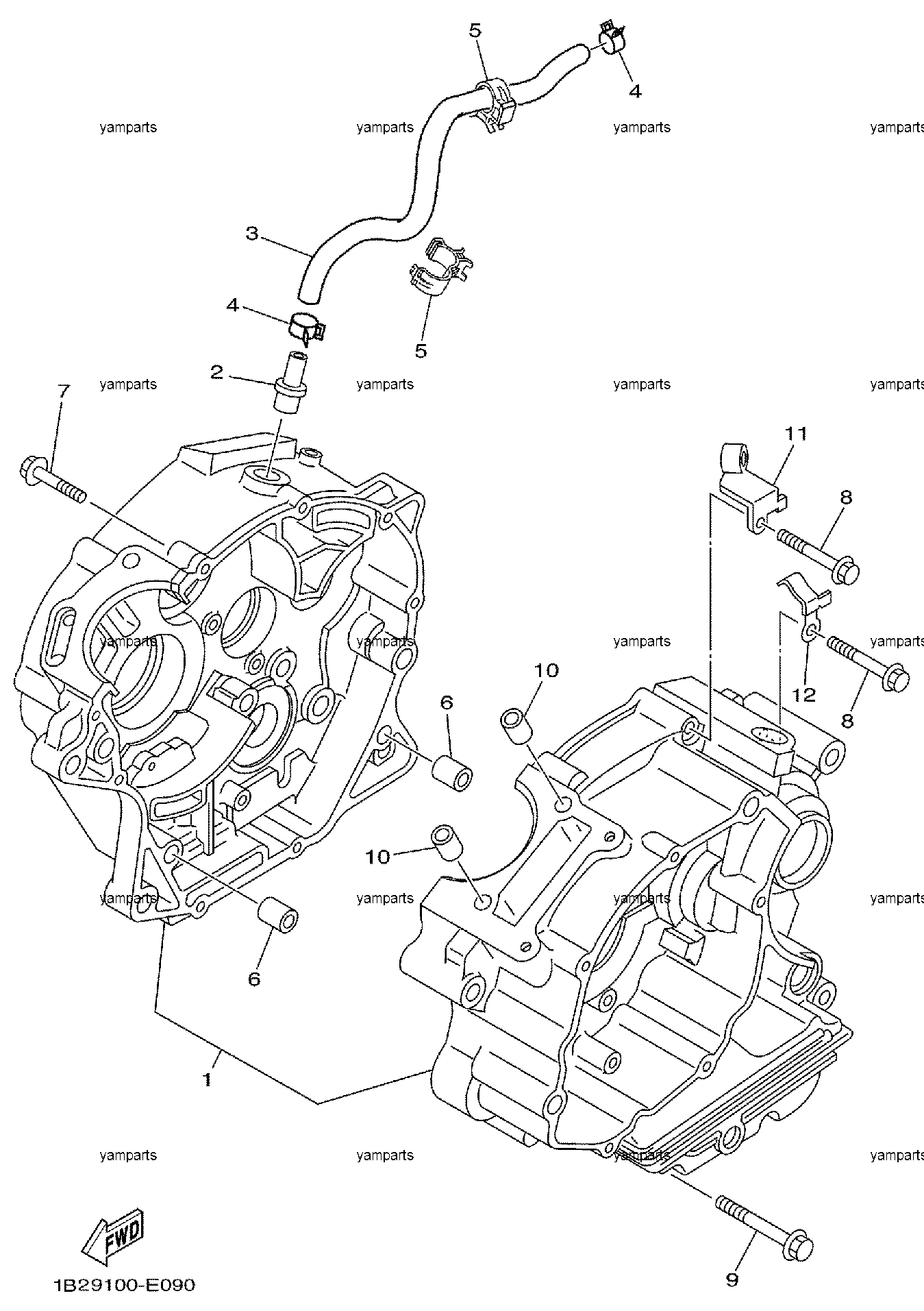 Картер